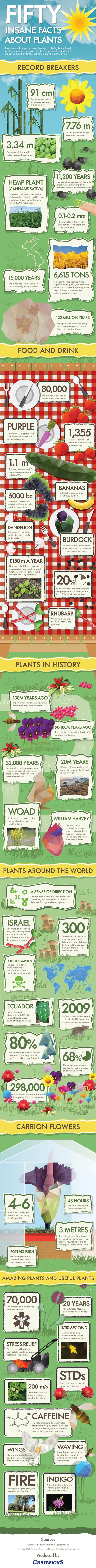 50-facts-about-plants