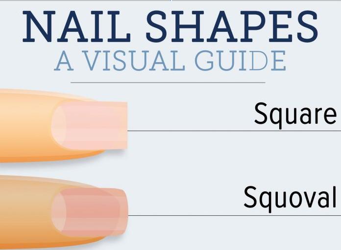 Nail Shapes A Visual Guide I2Mag Trending Tech News